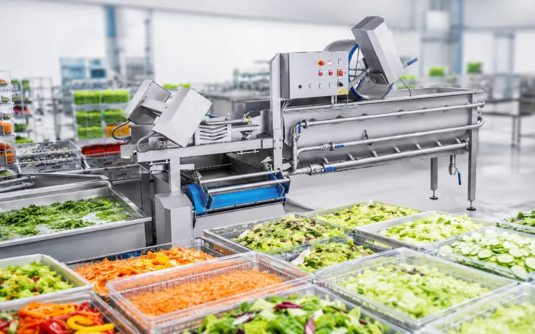 Fresh-cut výroba ve velkém: jak dosáhnout 25 tun denně díky technologiím KRONEN